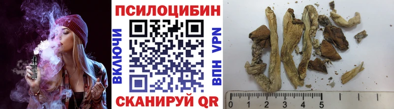 сайты даркнета формула  Дорогобуж  Галлюциногенные грибы GOLDEN TEACHER  как найти закладки 