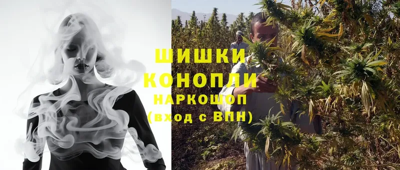 закладки  mega ссылка  МАРИХУАНА SATIVA & INDICA  Дорогобуж 