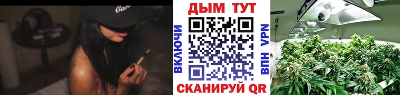 Конопля Amnesia  где купить наркоту  Дорогобуж 